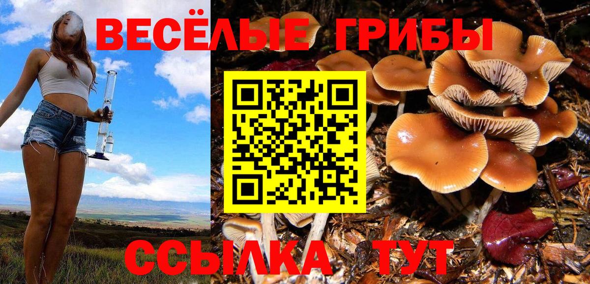 Галлюциногенные грибы ЛСД  Вход с VPN  Котельники 